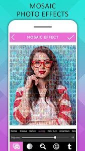 Mosaic Photo Effects 1.4 screenshot 1