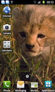 Baby Cheetah Live Wallpaper 1.0 screenshot 1