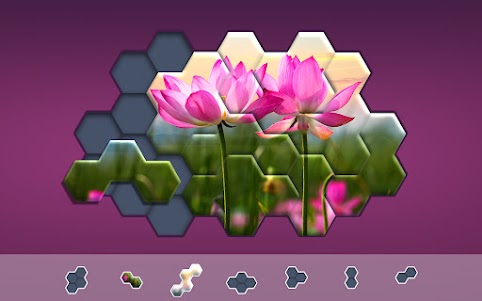 Hexa Jigsaw Puzzle ® 106.01 screenshot 23