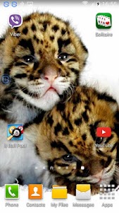 Leopards SHAKE and Change LWP 1.00 screenshot 1