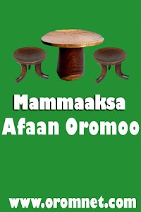 Mammaaksa Afaan Oromoo 3.6 screenshot 14
