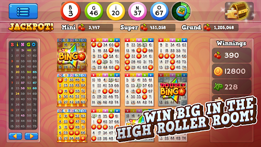 Bingo Pop 9.4.7 screenshot 1