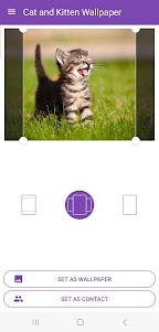 Cat and Kitten Wallpaper 2.22 screenshot 2