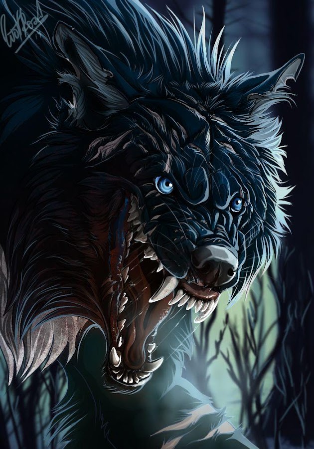 Best Cool Wolf Wallpapers 1.0 APK