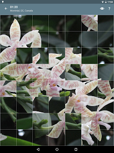 Jigsaw Puzzle: Flowers JPF-2.4.1 screenshot 23