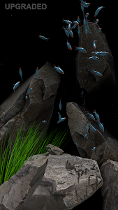 Nano Aquarium 1.3 screenshot 12
