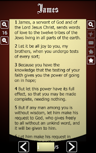 Bible Offline in Basic English 1.6 screenshot 10