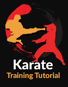 Karate Training 1.16 screenshot 3