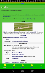 International Cricket 1.09 screenshot 7