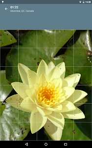 Jigsaw Puzzle: Flowers JPF-2.4.1 screenshot 14