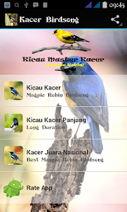 Birdsounds Magpie Robin 1.4 screenshot 1