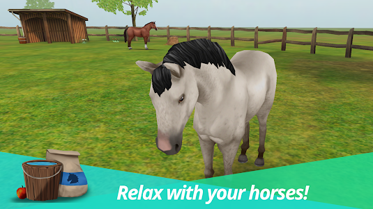Horse World Premium 4.5 screenshot 22