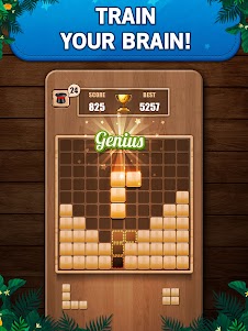 Wooden 100 Block Puzzle Game 2.6.8 screenshot 15