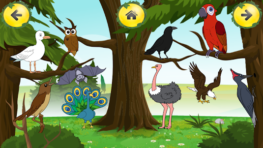 Animal Sounds Learn-Find Game 2.1 screenshot 5