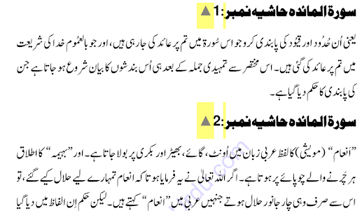 Tafheem ul Quran 2.0.0.1 screenshot 6