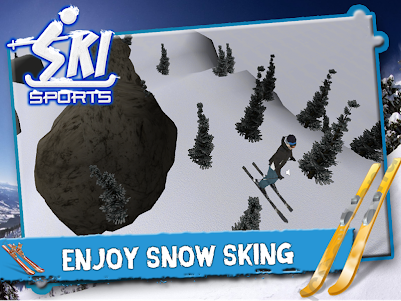 Ski Sports 3D 1.1 screenshot 1