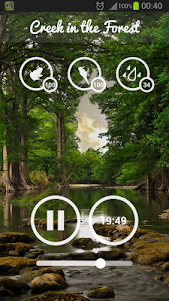 Forest Sounds - Nature & Sleep  screenshot 7