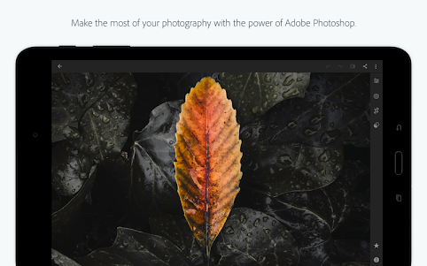 Adobe Photoshop Lightroom CC 8.2.3 screenshot 10