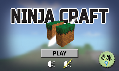 Ninja Craft 1.0 screenshot 1