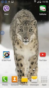 Leopards SHAKE and Change LWP 1.00 screenshot 3