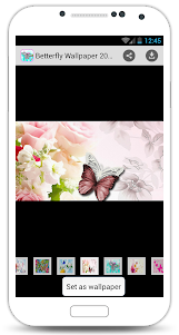Butterfly Wallpaper 2016 1.0 screenshot 4