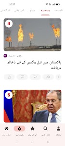 Urdu News 10.1.37 screenshot 5