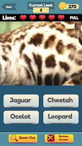 Zoom Trivia - Animals Edition 1.0.4 screenshot 2