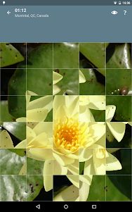 Jigsaw Puzzle: Flowers JPF-2.4.1 screenshot 13