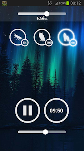 Forest Sounds - Nature & Sleep  screenshot 3