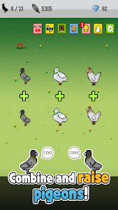 Pigeon Raising 3.0.43 screenshot 18