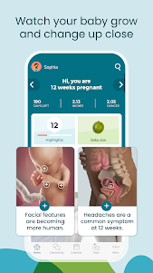 Pregnancy App & Baby Tracker 4.34.0 screenshot 2