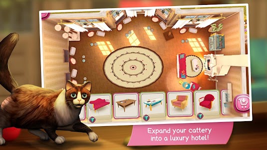 CatHotel - play with cute cats 2.1.10 screenshot 11