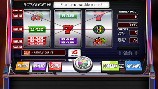 Slots of Fortune Deluxe 1.0 screenshot 13
