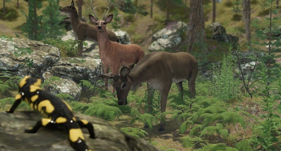 VR ZOO Safari Park Animal Game 1.27 screenshot 8