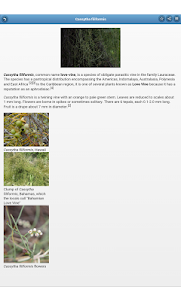 Parasitic Plants 7.1.2 screenshot 6