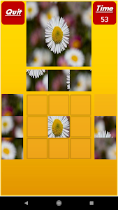 Puzzle My Mind Pro 1.0.0 screenshot 4