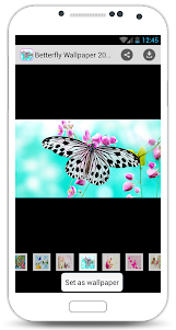 Butterfly Wallpaper 2016 1.0 screenshot 5