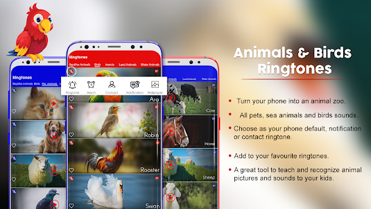Animals & Birds Ringtones 2.74 screenshot 17