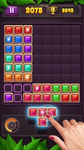 Block Puzzle: Star Gem 23.0628.09 screenshot 7
