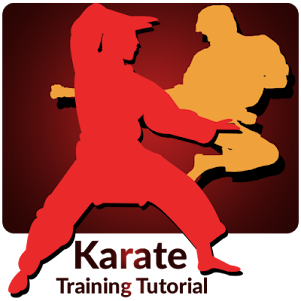 Karate Training 1.16 screenshot 4