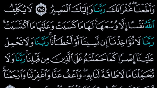 القرآن الكريم كامل بدون انترنت 8.5 screenshot 4