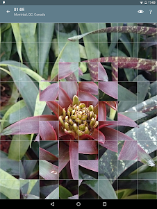 Jigsaw Puzzle: Flowers JPF-2.4.1 screenshot 21
