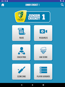 CA Junior Cricket 2.2 screenshot 12