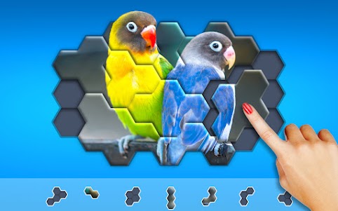 Hexa Jigsaw Puzzle ® 106.01 screenshot 14