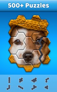 Hexa Jigsaw Puzzle ® 106.01 screenshot 4