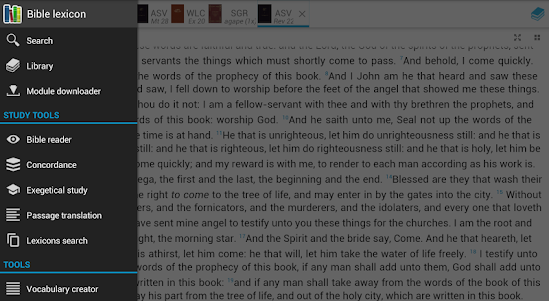 Bible Lexicon: Bible Study 4.1.2 screenshot 9