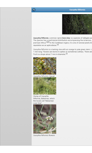 Parasitic Plants 7.1.2 screenshot 7