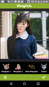 Wang Cats 1.4 screenshot 2