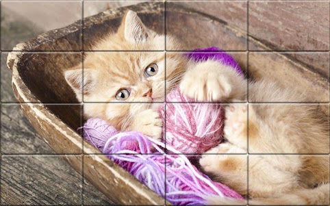 Tile Puzzle Cats 1.47 screenshot 3