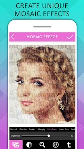Mosaic Photo Effects 1.4 screenshot 7